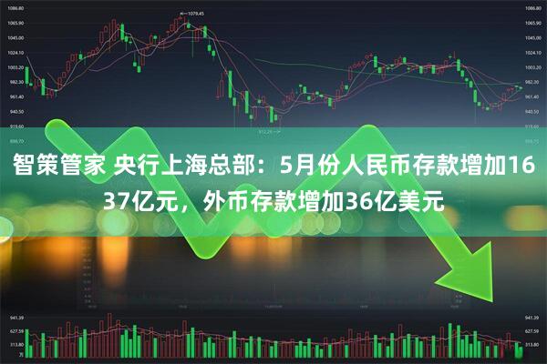 智策管家 央行上海总部：5月份人民币存款增加1637亿元，外币存款增加36亿美元