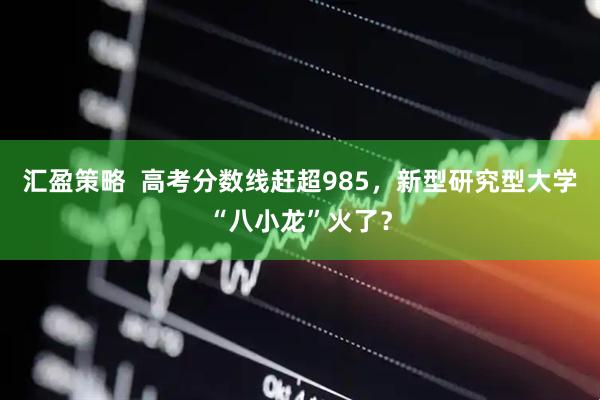 汇盈策略  高考分数线赶超985，新型研究型大学“八小龙”火了？