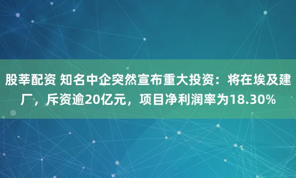 股莘配资 知名中企突然宣布重大投资：将在埃及建厂，斥资逾20亿元，项目净利润率为18.30%