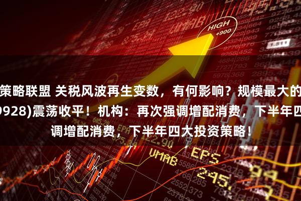 策略联盟 关税风波再生变数，有何影响？规模最大的消费ETF(159928)震荡收平！机构：再次强调增配消费，下半年四大投资策略！