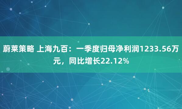 蔚莱策略 上海九百：一季度归母净利润1233.56万元，同比增长22.12%