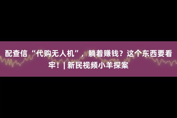 配查信 “代购无人机”,躺着赚钱?这个东西要看牢!| 新民视频小羊探案