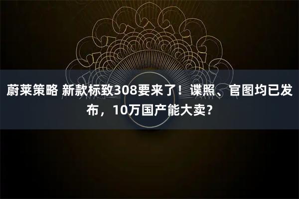 蔚莱策略 新款标致308要来了！谍照、官图均已发布，10万国产能大卖？