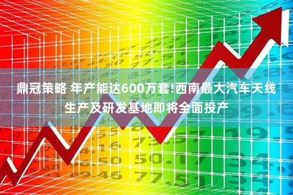 鼎冠策略 年产能达600万套!西南最大汽车天线生产及研发基地即将全面投产