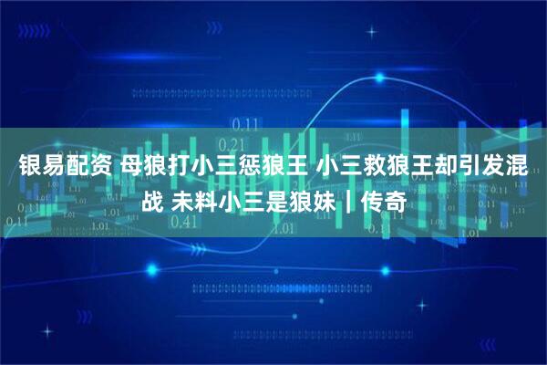 银易配资 母狼打小三惩狼王 小三救狼王却引发混战 未料小三是狼妹|传奇